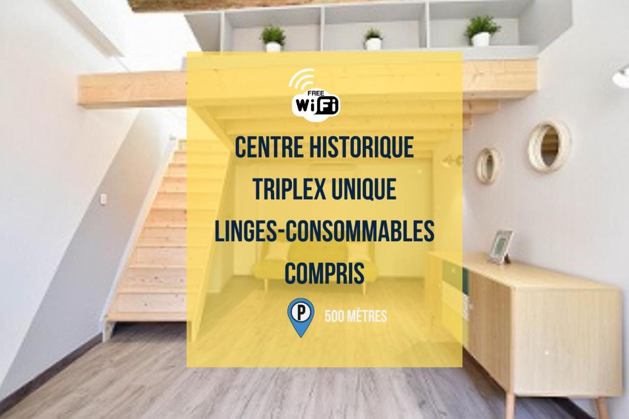 Succes - Tres Beau Duplex Dans Le Coeur De La D'arles Arles